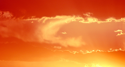 Life of Light